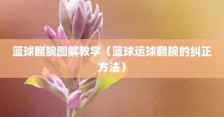 篮球翻腕图解教学（篮球运球翻腕的纠正方法）