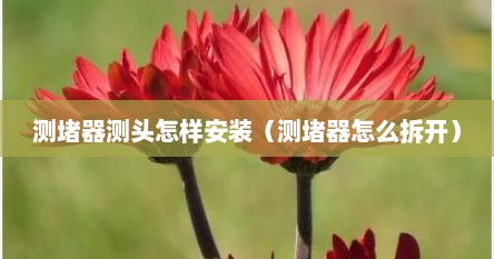 测堵器测头怎样安装（测堵器怎么拆开）