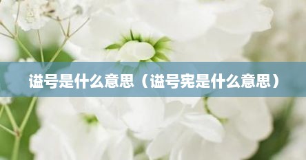 谥号是什么意思（谥号宪是什么意思）