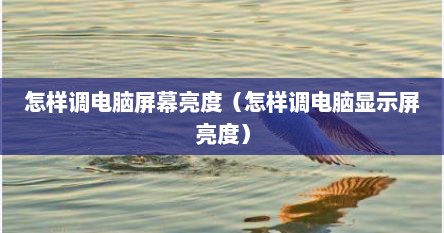 怎样调电脑屏幕亮度（怎样调电脑显示屏亮度）