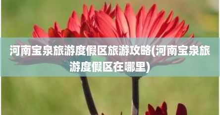 河南宝泉旅游度假区旅游攻略(河南宝泉旅游度假区在哪里)