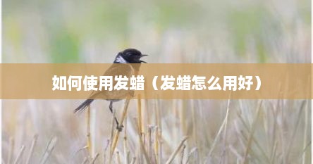 如何使用发蜡（发蜡怎么用好）