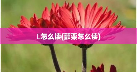 亶怎么读(颤栗怎么读)