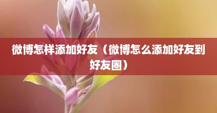 微博怎样添加好友（微博怎么添加好友到好友圈）