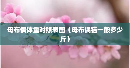 母布偶体重对照表图（母布偶猫一般多少斤）