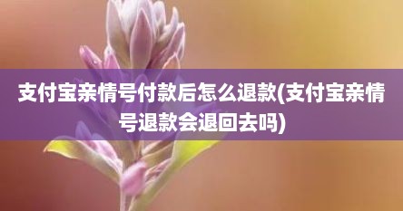支付宝亲情号付款后怎么退款(支付宝亲情号退款会退回去吗)