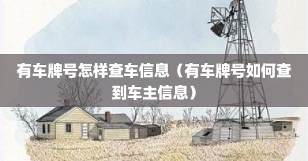 有车牌号怎样查车信息（有车牌号如何查到车主信息）