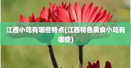 江西小吃有哪些特点(江西特色美食小吃有哪些)
