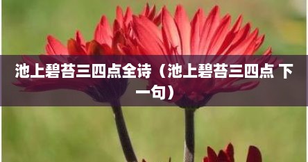 池上碧苔三四点全诗（池上碧苔三四点 下一句）