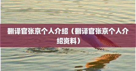 翻译官张京个人介绍（翻译官张京个人介绍资料）