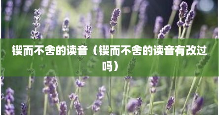 锲而不舍的读音（锲而不舍的读音有改过吗）
