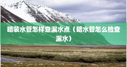 暗装水管怎样查漏水点（暗水管怎么检查漏水）