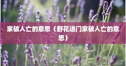 家破人亡的意思（野花进门家破人亡的意思）