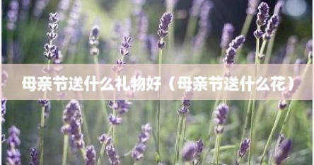 母亲节送什么礼物好（母亲节送什么花）