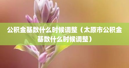 公积金基数什么时候调整（太原市公积金基数什么时候调整）