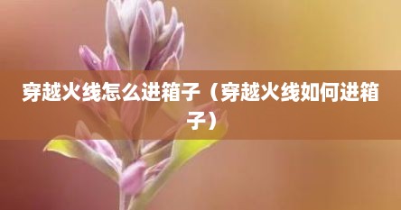 穿越火线怎么进箱子（穿越火线如何进箱子）