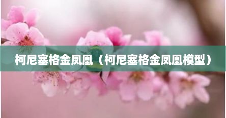 柯尼塞格金凤凰（柯尼塞格金凤凰模型）