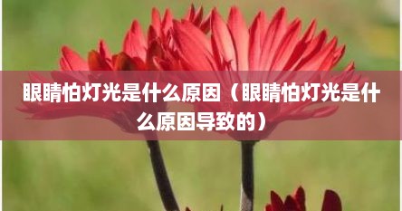 眼睛怕灯光是什么原因（眼睛怕灯光是什么原因导致的）