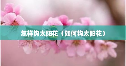 怎样钩太阳花（如何钩太阳花）