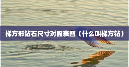 梯方形钻石尺寸对照表图（什么叫梯方钻）