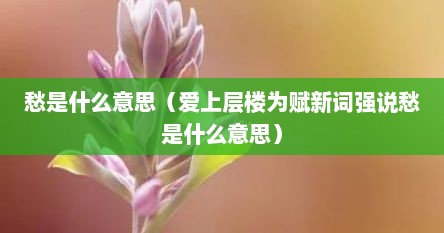 愁是什么意思（爱上层楼为赋新词强说愁是什么意思）