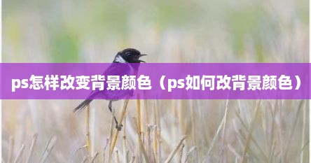 ps怎样改变背景颜色（ps如何改背景颜色）