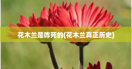 花木兰是咋死的(花木兰真正历史)