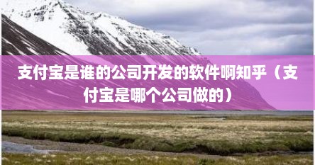 支付宝是谁的公司开发的软件啊知乎（支付宝是哪个公司做的）