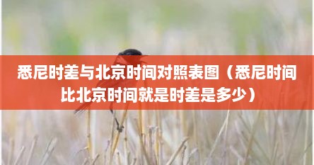 悉尼时差与北京时间对照表图（悉尼时间比北京时间就是时差是多少）