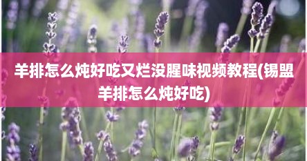 羊排怎么炖好吃又烂没腥味视频教程(锡盟羊排怎么炖好吃)