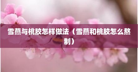 雪燕与桃胶怎样做法（雪燕和桃胶怎么熬制）