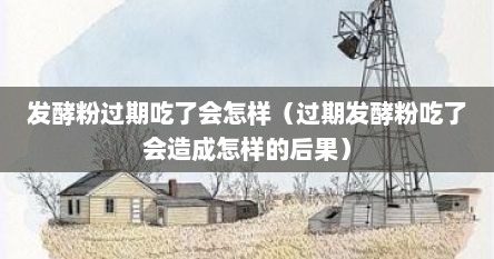 发酵粉过期吃了会怎样（过期发酵粉吃了会造成怎样的后果）
