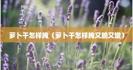 萝卜干怎么样腌制才好吃（萝卜干怎么腌制才能脆爽）