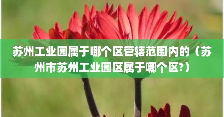 苏州工业园属于哪个区管辖范围内的（苏州市苏州工业园区属于哪个区?）