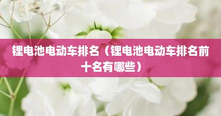 锂电池电动车排名（锂电池电动车排名前十名有哪些）