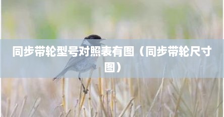 同步带轮型号对照表有图(同步带轮尺寸图) 同步带轮型号对照表有图(同步带轮尺寸图)