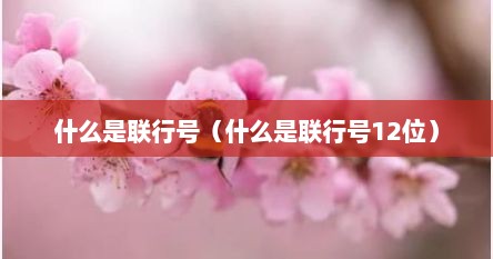 什么是联行号（什么是联行号12位）