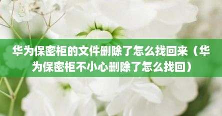 华为保密柜的文件删除了怎么找回来（华为保密柜不小心删除了怎么找回）