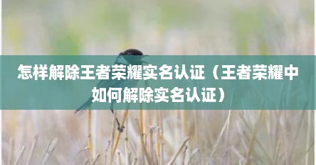 怎样解除王者荣耀实名认证（王者荣耀中如何解除实名认证）