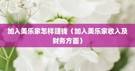加入美乐家怎样赚钱（加入美乐家收入及财务方面）