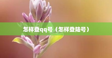 怎样登qq号（怎样登陆号）