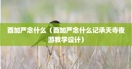 酉加严念什么（酉加严念什么记承天寺夜游教学设计）