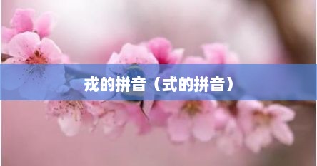 戎的拼音（式的拼音）