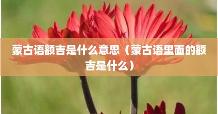 额吉格蒙语意思（额吉释义）