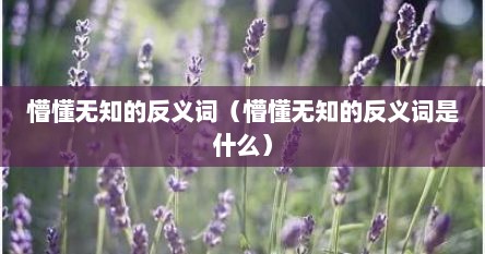 懵懂无知的反义词（懵懂无知的反义词是什么）