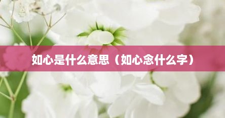 如心是什么意思（如心念什么字）