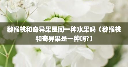 猕猴桃和奇异果是一种果子吗（猕猴桃跟奇异果是一种水果吗?）