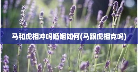 马和虎相冲吗婚姻如何(马跟虎相克吗)