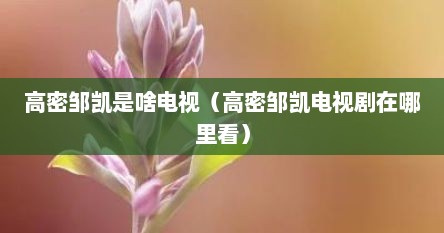 高密邹凯是啥电视（高密邹凯电视剧在哪里看）
