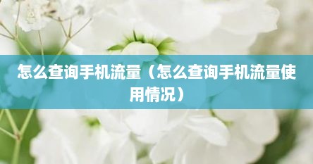怎么查询手机流量使用记录（流量卡怎么查询流量）